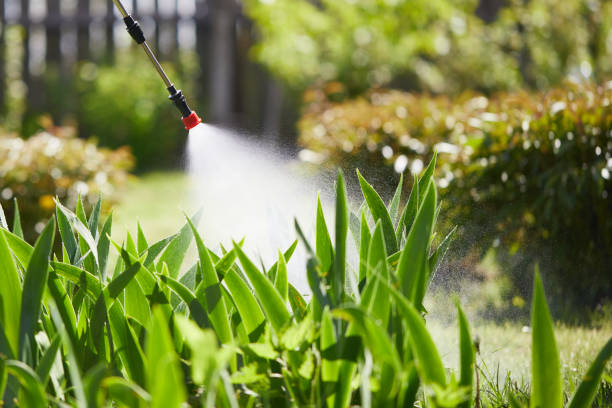 24/7 Emergency Mosquito Control experts in Coalfield, TN