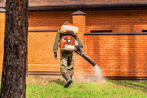 Top rated local Mosquito Control specialists in Coalfield, TN